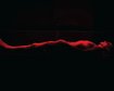 thumb-image-2024-02-29T14:07:09.187Z