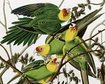 thumb-image-2024-02-29T14:07:09.611Z