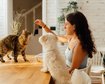 thumb-image-2024-02-29T14:07:09.646Z