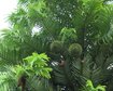 thumb-image-2024-02-29T14:07:09.936Z
