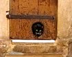 thumb-image-2024-02-29T14:07:10.352Z