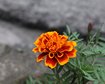 thumb-image-2024-02-29T14:07:10.509Z