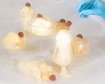 thumb-image-2024-02-29T14:07:11.624Z