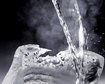 thumb-image-2024-02-29T14:07:11.460Z