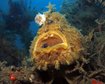 thumb-image-2024-02-29T14:07:11.491Z