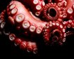 thumb-image-2024-02-29T14:07:11.405Z