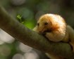 thumb-image-2024-02-29T14:07:11.512Z