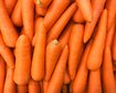 thumb-image-2024-02-29T14:07:11.551Z