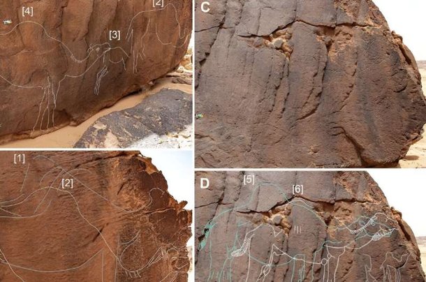 Representação do traçado dos desenhos encontrados. (Fonte: Archaeological Research in Asia/ Maria Guagnin et. al 2023/Reprodução)