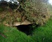 thumb-image-2024-02-29T14:07:12.427Z