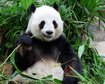 thumb-image-2024-02-29T14:07:12.548Z