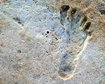 thumb-image-2024-02-29T14:07:13.000Z