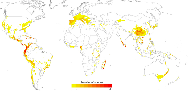 Mapa destaca que no continente americano há muitas espécies de anfíbios ameaçadas de extinção. (Fonte: Nature/Reprodução)