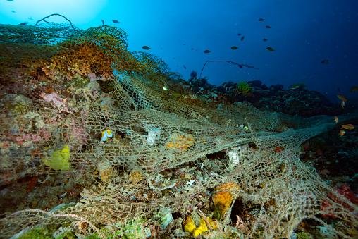 Plástico afeta diversos ecossistemas no oceano. (Fonte: GettyImages/Reprodução)