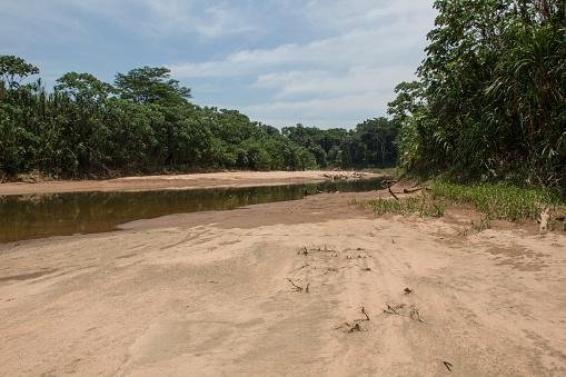 Seca extrema afeta a região amazônica