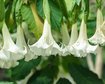 thumb-image-2024-02-29T14:07:13.343Z