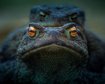 thumb-image-2024-02-29T14:07:13.673Z