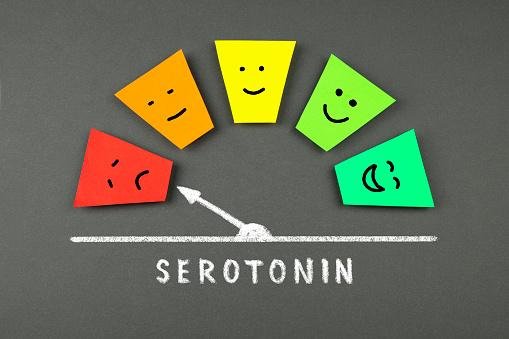 Níveis baixos de serotonina podem ter relação com a covid longa. (Fonte: Getty Images)