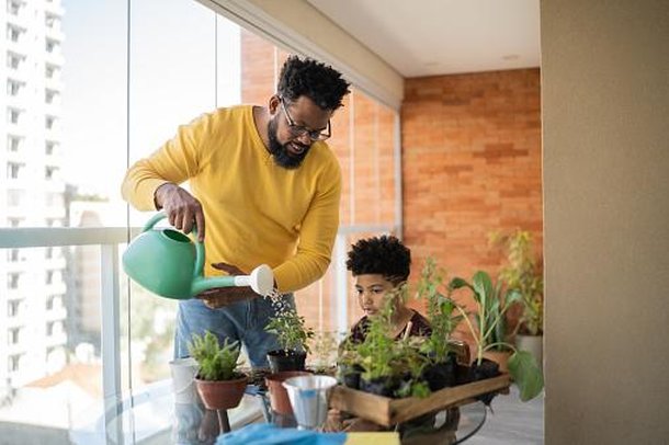Leite azedo pode ser misturado com água para regar plantas. (Fonte: Getty Images)