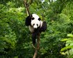thumb-image-2024-02-29T14:07:14.722Z