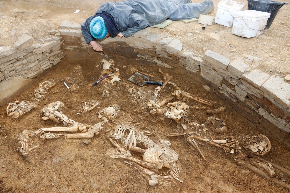 Escavações em tumba rara localizada nas Ilhas Orkney, na Escócia, revelaram ossadas impressionantes que remontam ao período neolítico. (Fonte: National Museums Scotland/ Divulgação)