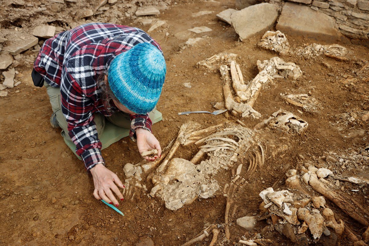 A tumba tem 15 metros de diâmetro e muitos esqueletos que precisam são estudados com muita cautela. (Fonte: National Museums Scotland/ Divulgação)