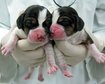 thumb-image-2024-02-29T14:07:15.571Z