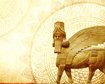 thumb-image-2024-02-29T14:07:16.458Z