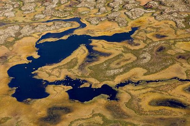 (Fonte: Getty Images)