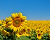 thumb-image-2024-02-29T14:07:16.981Z