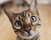 thumb-image-2024-02-29T14:07:17.516Z