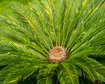 thumb-image-2024-02-29T14:07:18.511Z