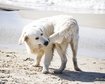 thumb-image-2024-02-29T14:07:18.538Z