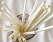 thumb-image-2024-02-29T14:07:19.212Z
