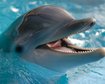 thumb-image-2024-02-29T14:07:20.404Z