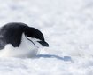 thumb-image-2024-02-29T14:07:20.473Z