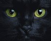 thumb-image-2024-02-29T14:07:20.692Z