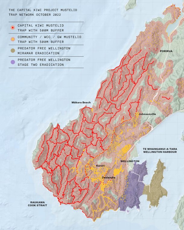Área de reintrodução dos kiwis. (Fonte: Capital Kiwi Project / Reprodução)