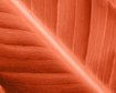 thumb-image-2024-02-29T14:07:21.025Z