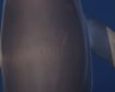 thumb-image-2024-02-29T14:07:21.275Z