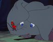 thumb-image-2024-02-29T14:07:21.402Z