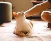thumb-image-2024-02-29T14:07:21.549Z