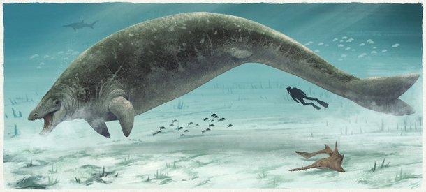 Representation of a prehistoric whale.  (Photo: Adamworks)