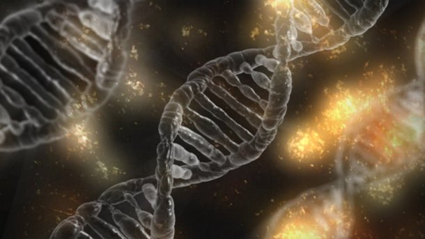 Humans have a new reference genome.  (Image: Pixabay)