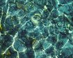 thumb-image-2024-02-29T14:07:22.055Z