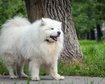 thumb-image-2024-02-29T14:07:22.289Z