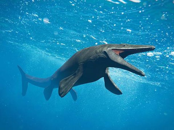 Basilosaurus. (Fonte: Getty Images / Reprodu
