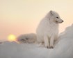 thumb-image-2024-02-29T14:07:23.352Z