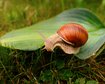 thumb-image-2024-02-29T14:07:23.692Z