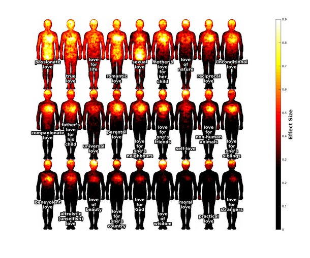 Localização e intensidade do amor sentido pelos participantes. (Fonte: Universidade de Aalto/Reprodução)
